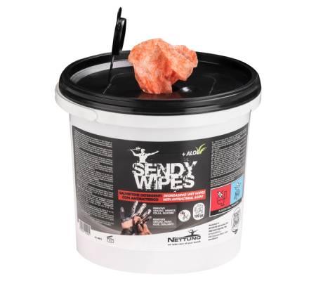 Salviette umidificate Sandy Wipes - in secchiello - 26 x 27 cm - conf. 100 pezzi - Nettuno - 00813 - 8009184011064 - DMwebShop