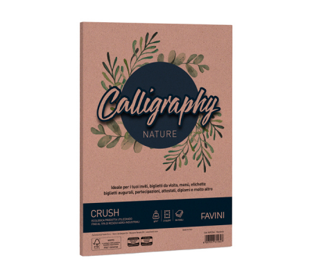 Carta Calligraphy Nature - A4 - 250 gr - mandorla - conf. 50 fogli - Favini - A69C564 - 8007057615647 - DMwebShop