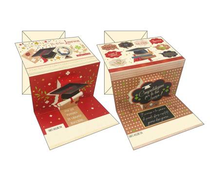 Biglietto auguri Laurea - 4 soggetti assortiti - conf. 12 pezzi - Kartos - 07565401 - 8009162375386 - DMwebShop