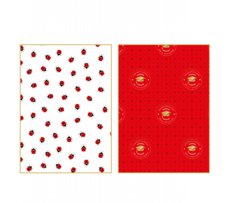 Fogli di carta regalo linea Eventi - 70 x 100 cm - fantasie assortite - conf. 100 pezzi - Kartos 18291