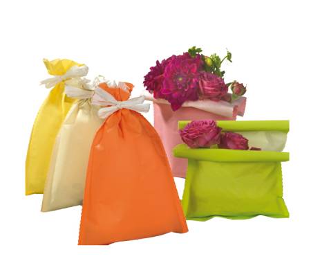 Busta regalo Spring - 16 x 25 cm - 45 gr - carta - 5 colori assortiti - conf. 50 pezzi - PNP - UDI26GRR12N00 - 8013170760683 - DMwebShop