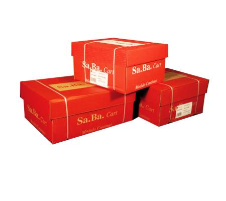 Carta in modulo continuo - 24 x 12" X2 - 53 gr - piste staccabili bianco - conf. 1000 fogli - Sabacart - S21240126000 - 8024828134084 - DMwebShop