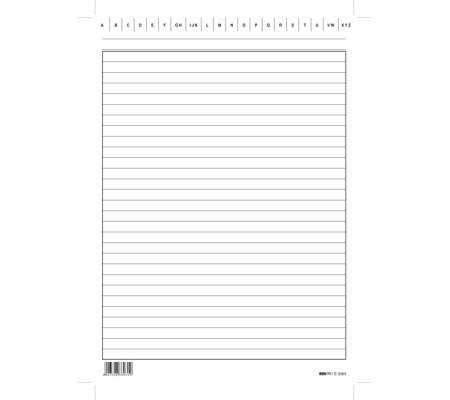 Schede in cartoncino rigate - 24 x 17 cm - verticale - conf. 100 pezzi - Edipro - E3393BL - 8023328339319 - DMwebShop