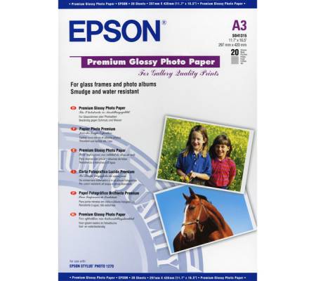 Carta fotografica lucida Premium - Epson - C13S041315 - 10343819788 - DMwebShop