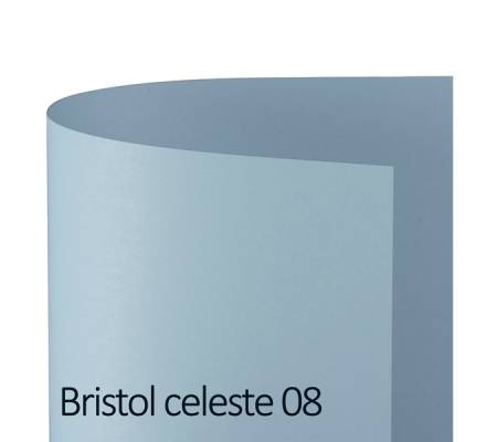 Cartoncino Bristol Color - 70 x 100 cm - 200 gr - celeste 08 - blister 10 fogli - Favini - A35T0A1 - 8007057570168 - DMwebShop