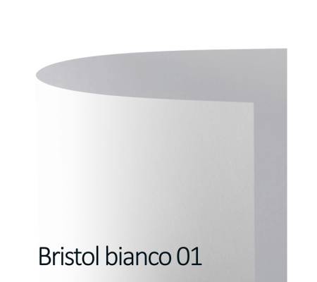 Cartoncino Bristol Color - 70 x 100 cm - 200 gr - bianco 01 - conf. 10 pezzi - Favini - A3500A1 - 8007057569100 - DMwebShop