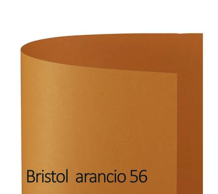 Cartoncino Bristol Color - 70 x 100 cm - 200 gr - arancio 56 - conf. 10 pezzi - Favini - A35E0A1 - 8007057570083 - DMwebShop