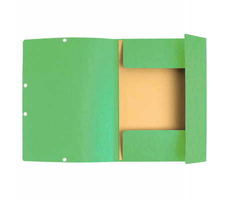 Cartellina con elastico - cartoncino lustre' - 3 lembi - 400 gr - 24 x 32 cm - verde tiglio - Exacompta - 55513E - 3130630555131 - 71866_1 - DMwebShop
