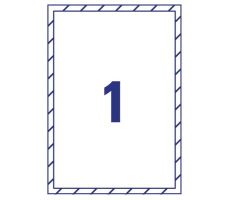 Etichette adesive per finestre - in carta - con pellicola - laser - rimovibili - 210 x 297 mm - 1et/fg - 10 fogli - bianco - Avery - L9001-10