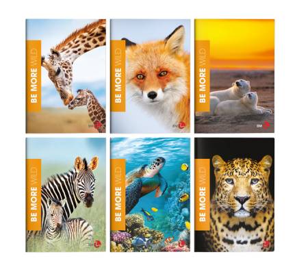 Maxiquaderno Be More Wild - A4 - 36+2 fogli - 100 gr - 10 mm - conf. 10 pezzi - BM - 0120567 - 8008234205675 - DMwebShop