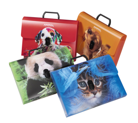 Valigetta Animal Friends Color - 28 x 38 cm - dorso 5 cm - PP - fantasie assortite - Colorosa - 64EP16 - 8011791002212 - DMwebShop