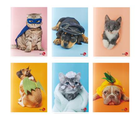 Maxiquaderno Cute fantasia - A4 - 40+2 fogli - 80 gr - rigo di 3a - conf. 10 pezzi - BM - 0110385 - DMwebShop
