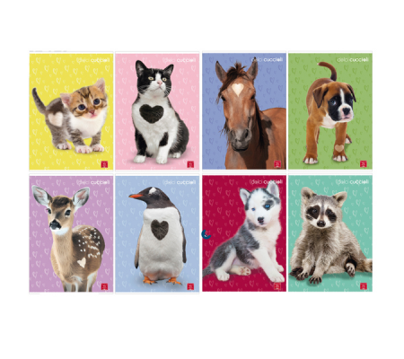 Maxiquaderno Dolci Cuccioli - A4 - rigo di 1a - 42 fogli - 80 gr - conf. 10 pezzi - Pigna - 02333750A - 8005235149304 - DMwebShop