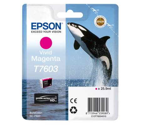 Cartuccia ink - T7603 - magenta - Epson - C13T76034N10 - 8715946733746 - DMwebShop