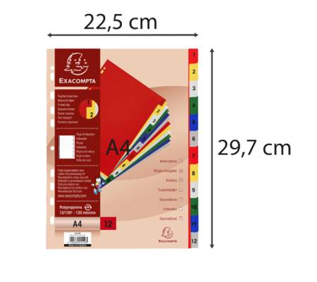 Divisori Numerici - 1-12 - PPL opaco - A4 - colori assortiti - conf. 20 pezzi - Exacompta - 1512E - 3130630015123 - DMwebShop - 3