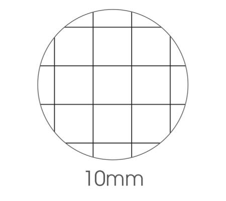 Maxiquaderno Be More Wild - A4 - 36+2 fogli - 100 gr - 10 mm - conf. 10 pezzi - BM - 0120567 - 8008234205675 - DMwebShop - 1