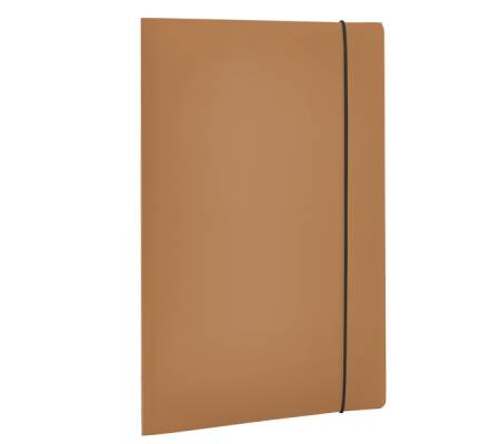 Cartellina 3 lembi HOLOS - PP - 25 x 35 cm - marrone - Fellowes - 100102103 - 43859802166 - DMwebShop