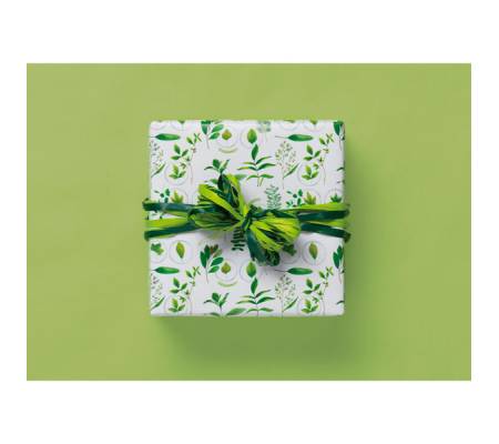 Carta regalo - raso - Primavera - 70 x 100 cm - scatola 100 fogli - Rex Sadoch - R4411GEN - 8006715071641 - DMwebShop - 1