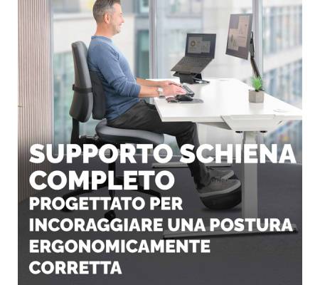 Cuscino Lombare Confort Breyta - 33 x 38 x 9 cm - in tessuto - nero - Fellowes - 100119852 - 43859803057 - DMwebShop - 5