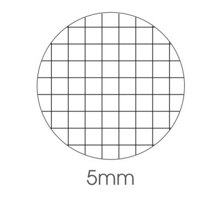 Blocco note Derby - 5 mm - 80 x 120 mm - 60 gr - 70 fogli - conf. 10 pezzi - BM - 0100010 - 8008234040146 - DMwebShop - 1