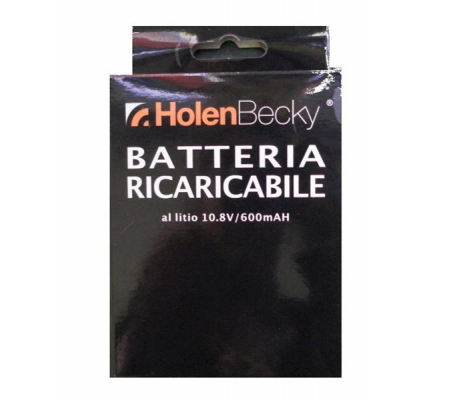 Batteria ricaricabile al litio per verifica banconote HT7000/HT6060 - Holenbecky - 3338 - 8028422533380 - DMwebShop