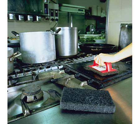 Spugne per griglia - conf. 4 pezzi - Scotch-brite - 7000079857 - 3134375296601 - DMwebShop - 1