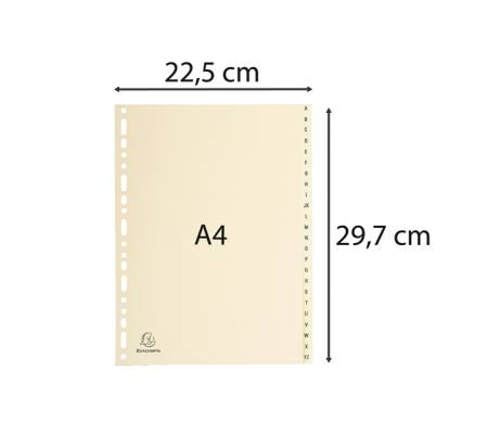 Separatori - 24 tasti A-Z - cartoncino - A4 - avorio - Exacompta - 1124E - 3130630011248 - DMwebShop - 1