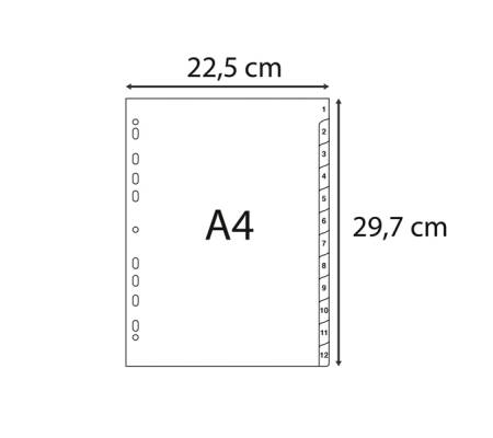 Intercalare numerico - PPL riciclato - A4 - 12 tasti - A-Z - grigio - Exacompta - 1912E - 3130630019121 - DMwebShop - 2