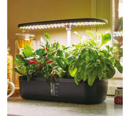 Orto idroponico indoor - 20 x 18 x 40 cm - Verdemax - V002334 - 8015358023344 - DMwebShop - 1