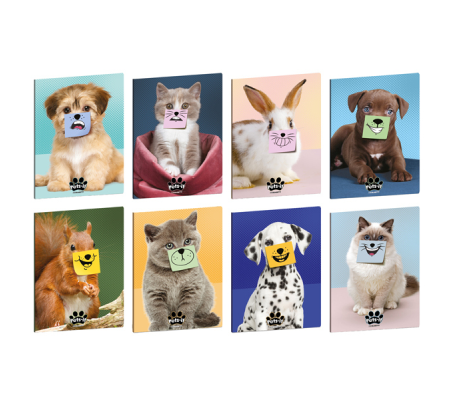 Maxiquaderno Pets-IT - A4 - 4 mm - con margine - 21 fogli - 80 gr - Blasetti - 8927 - 8007758289277 - DMwebShop