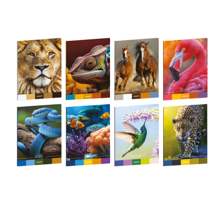Maxiquaderno Animal Palette - A4 - 1 rigo - con margine - 21 fogli - 80 gr - Blasetti - 8951 - 8007758289512 - DMwebShop