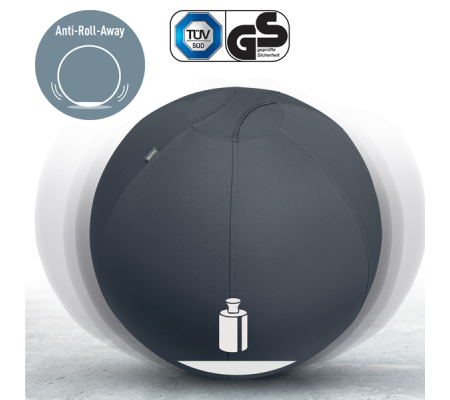 Palla Ergo Active - da seduta - 65 cm - grigio scuro - Leitz - 65420089 - 4002432134779 - DMwebShop - 2