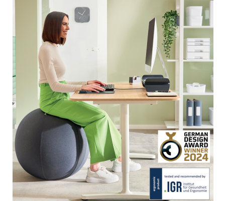 Palla Ergo Active - da seduta - 65 cm - grigio scuro - Leitz - 65420089 - 4002432134779 - DMwebShop - 5