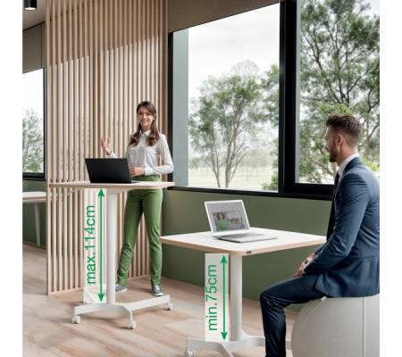 Scrivania Compatta pneumatica Sit-Stand - mobile - 80 x 60 x 75 cm - bianco - Leitz - 65360001 - 4002432138395 - DMwebShop - 6