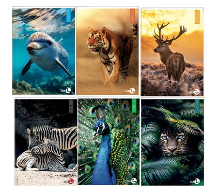 Maxiquaderno Animal fantasia A4 40-2 fogli 80 gr 10 mm BM 0110382 - 25401 - 2