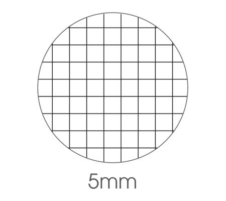 Maxiquaderno Paesaggi fantasia - A4 - 40+2 fogli - 80 gr - quadretto 5 mm - conf. 10 pezzi - BM  - 0110414 - 8008234104145 - DMwebShop - 1