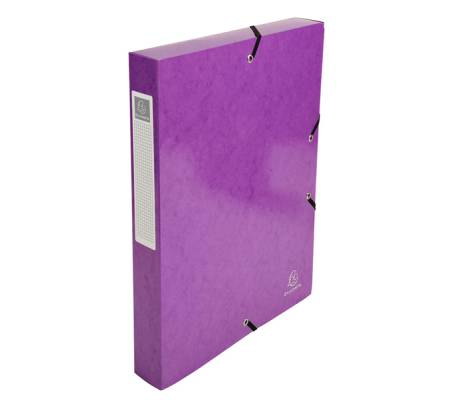 Scatola archivio box Iderama - dorso 40 mm - A4 - 8 colori assortiti - conf. 8 pezzi - Exacompta - 59929E - 3130630599296 - DMwebShop - 9