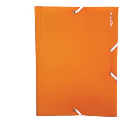 Cartella 3L - PPL 25 x 35 cm - A4 - colori assortiti - conf. 24 pezzi - Colorosa - 362201 - 8004428043436 - DMwebShop - 2