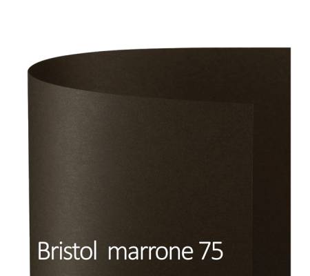 Cartoncino Bristol Color - 70 x 100 cm - 200 gr - marrone 75 - conf. 10 pezzi - Favini - A3580A1 - 8007057590203 - DMwebShop