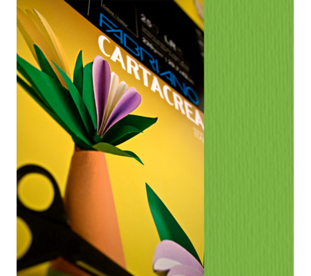 Cartoncino CartaCrea - 35 x 50 cm - 220 gr - verde 111 - blister 10 fogli - Fabriano - 46435111 - 8001348127642 - DMwebShop