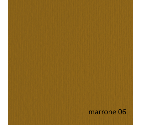 Cartoncino Elle Erre - 70 x 100 cm - 220 gr - marrone 106 - blister 10 fogli - Fabriano - 46470106 - 8001348121435 - DMwebShop