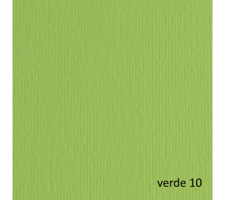 Cartoncino Elle Erre - 70 x 100 cm - 220 gr - verde pisello 110 - blister 10 fogli - Fabriano - 46470110 - 8001348121473 - DMwebShop