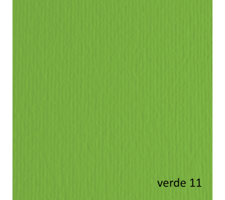 Cartoncino Elle Erre - 70 x 100 cm - 220 gr - verde 111 - blister 10 fogli - Fabriano - 46470111 - 8001348121480 - DMwebShop
