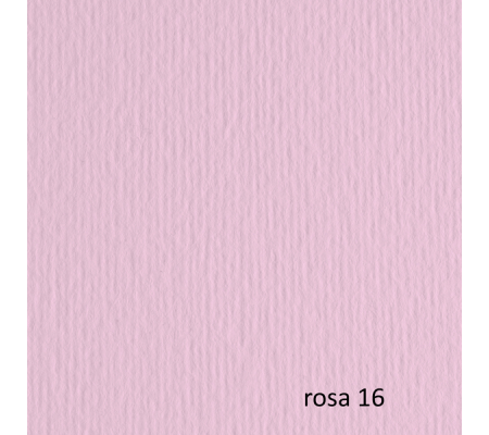Cartoncino Elle Erre - 70 x 100 cm - 220 gr - rosa 116 - blister 10 fogli - Fabriano - 46470116 - 8001348121510 - DMwebShop