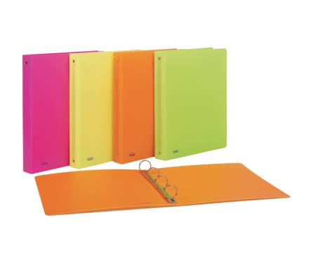 Raccoglitore - PPL - 22 x 30 mm - 4 anelli tondi - dorso 30 - colori assortiti -conf. 10 pezzi - Favorit - 400090369 - 8006779003626 - DMwebShop