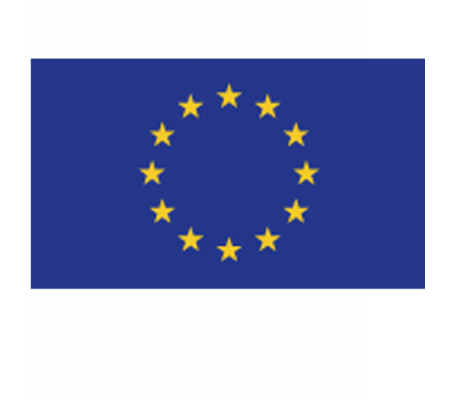 Bandiera Europa - poliestere nautico - 100 x 150 cm - Cartelli Segnalatori - BAE150 - 8871901500126 - DMwebShop