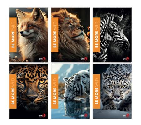Maxiquaderno Wild be more special - A4 - 36+2 fogli - 100 gr - 4 mm - con margine - conf. 10 pezzi - BM - 0120568 - 8008234205682 - DMwebShop