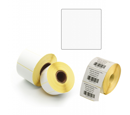Etichette per trasferimento termico diretto - 100 x 100 mm - 1 pista - rotolo da 500 pezzi - Printex - ETE100100 - 8034049911807 - DMwebShop