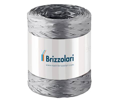 Nastro Rafia sintetica - argento 44 - 5 mm x 200 mt - Brizzolari - 01003744 - 8031653208552 - DMwebShop