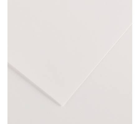 Foglio Colorline - 70 x 100 cm - 220 gr - bianco - conf. 25 pezzi - Canson - 200041187 - 85566A - DMwebShop